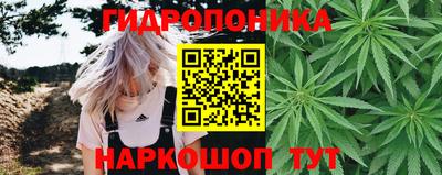 гашик Кунгур
