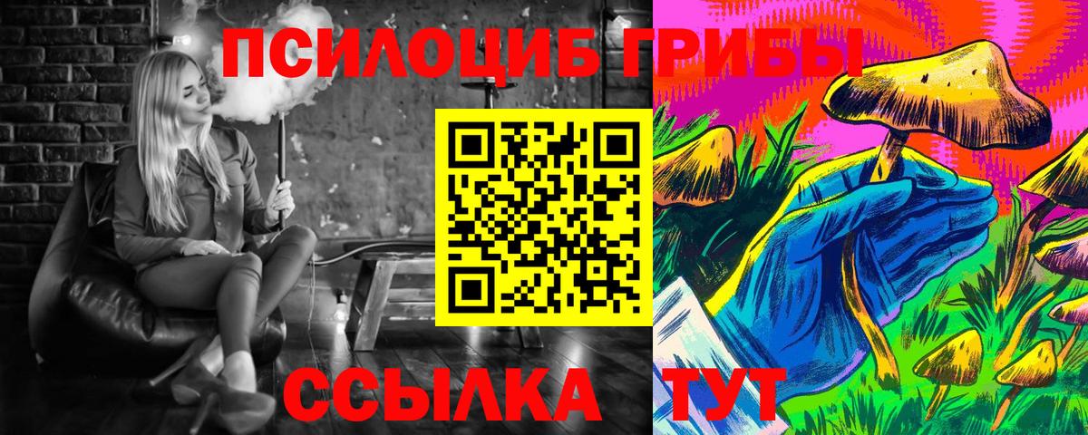 Щёкино  Псилоцибиновые грибы Psilocybe  Вход с VPN 